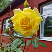 2020-09-06 01